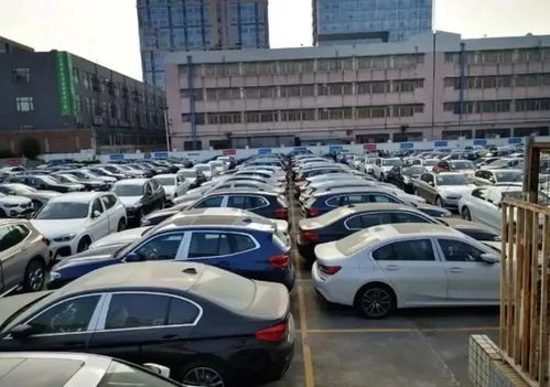 汽车厂卖不出的库存车，最终流向何方？购车者须知